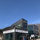 알펜시아렌탈샵, 용평리조트렌탈샵 찾는다면 1분거리 비버네렌탈샵 방문후기