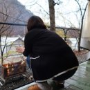하얀숲오토&글램핑 이미지