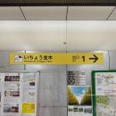 해태거리길 표지판 전봇대 | 도쿄 단풍 명소 11월 실시간 메이지 신궁 외원 은행나무거리 위치 가는 방법