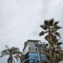 강진4호 이미지