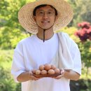 내고향산야초 | 6시 내고향 청주 난각번호 1번 유정란 등고개농장 위치 연락처 주문 방법 (7월 16일 방송)