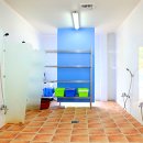 아이올래 이미지