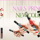 일등유통 이미지