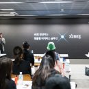 엑스솔루션 뉴시스
