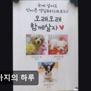 강아지의 하루 | (수원, 강아지, 고양이, 애견미용, 추천!) 강아지의 하루 수원 강아지의 하루, 맞춤미용으로 인기