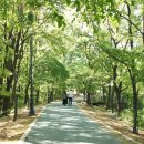 연세수요양병원 이미지