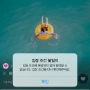 이모작가발 | 흘러간 11월의 기록