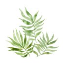 사파동192 이미지