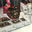 스토리씨즈 | 🍫 [판교 현백] 워렌 버핏이 사랑한 '씨즈캔디' 화이트데이 초콜릿 내돈내산 후기 🍬