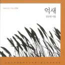 김규정