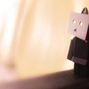 반갑다 창문밖 고양이 이미지