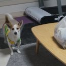 구삼짜글이 - 당진시 무수동1길 16 | 거제 아주동 구삼짜글이 배달 후기!