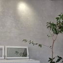 스튜디오어디 | W2. 웨딩밴드 어디서 맞출까? 스튜디오 코랄 후기 | 200만원대 깔끔한 디자인 추천 | 가격공유