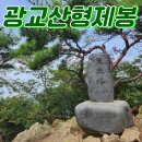 형제봉_숲길(등산)2코스 | 광교산 형제봉 등산 코스 완벽 가이드 | 수원 근교 당일치기 추천 명산