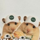 포토이즘박스삼송
