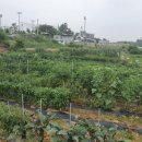 호암농장 이미지