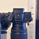 R-5 | 소니 a7R5 6100만 화소 성능 실사용 후기
