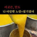 유튭알고리즘 망함 ㅠ 인도음식 엄청 뜸 이미지