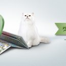 충청팬시