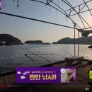 바다위통나무펜션씨그리메 티스토리