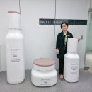 포인트인셀덤