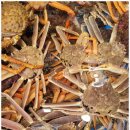 대포식당 이미지