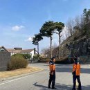 안성소방서 이미지