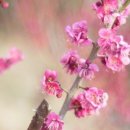 땅끝푸른모텔 이미지