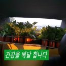 동산종묘 이미지
