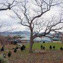 양화마을 이미지