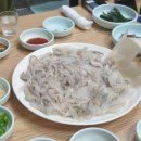 도다리 세꼬시에 쑥국 한 사발, 여기가 진짜다! 🐟🌿-경락횟집 방문후기