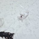 개스트룸 이미지