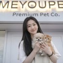 지은메디칼 | 울산강아지분양 미니비숑 분양