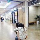비바플렉스 이미지