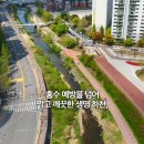 율곡천 7 네이버블로그