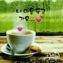 한잔 Daum카페