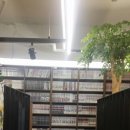 놀숲일산