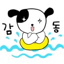 비비큐대전 이미지