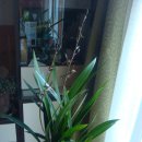 하신회관 이미지