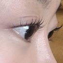 프렌드 샵(FRIEND SHOP) | 수원 권선동 속눈썹펌 자연스러운 컬 맛집 퍼리펠트프렌드