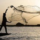 그물과물고기 이미지