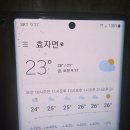 새벽소
