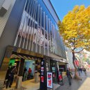 엘리트마트 | 써코니 엔돌핀 엘리트 사이즈 팁-명동 ABC마트