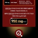 블루션 이미지