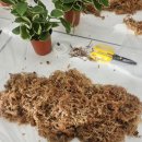 2-3 원예 치료전문가 과정 이미지