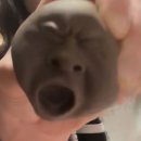 행복한날들 | 2026 제주 여행,올해 가장 행복한 날들