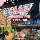 실시간 벚꽃 경치 너무 예쁜 &#34;하동 더로드101 카페&#34; 내돈내산 솔직 후기