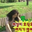 국제사랑의봉사단 이미지