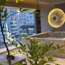 어반하우스펜트 이미지