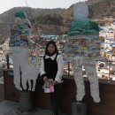 감천19 이미지